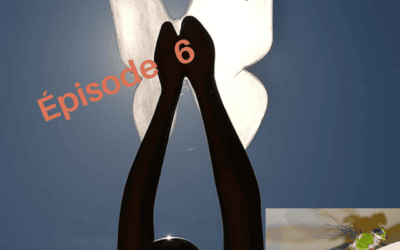 Episode 6 : Par un curieux hasard by Stephan